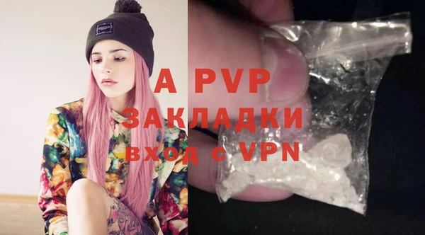 крисы Белокуриха
