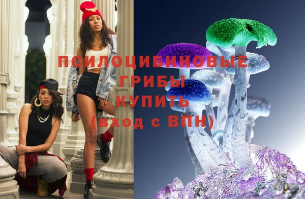 марихуана Новозыбков