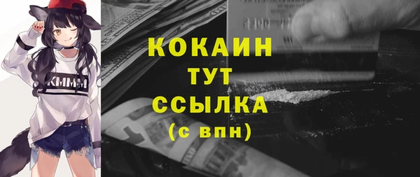 крисы Белокуриха