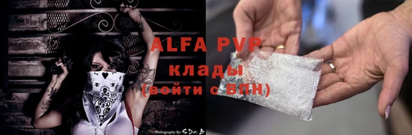крисы Белокуриха