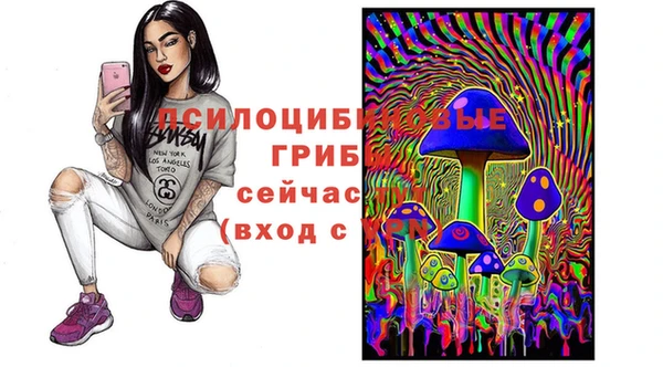 хмурый Белоозёрский