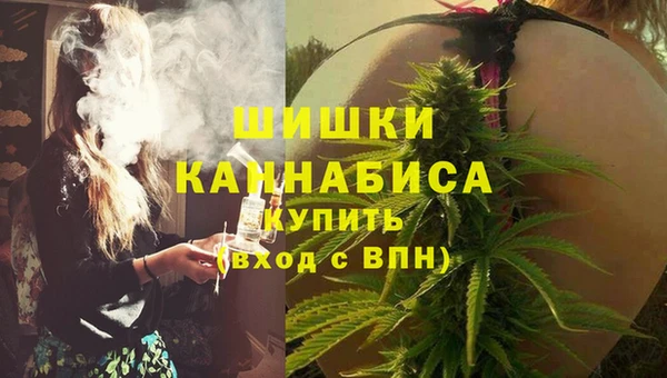 крисы Белокуриха
