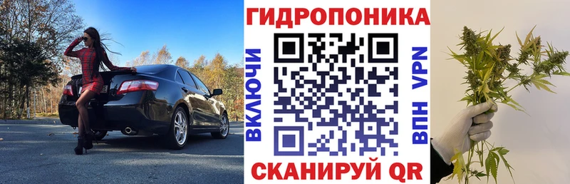 Каннабис Ganja  купить наркотик  Жиздра 